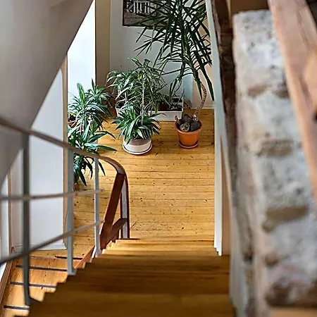 Bed & Breakfast Bernardinu House