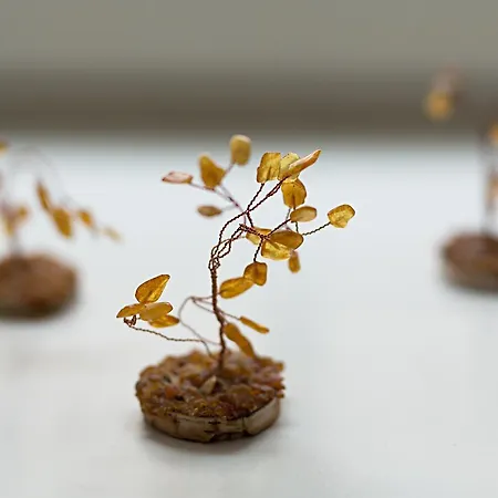 Bernardinu House Bed & Breakfast 3*