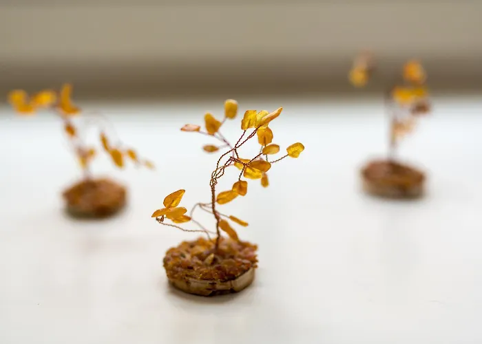 ベッド・アンド・ブレックファスト バーナディニュ ハウス