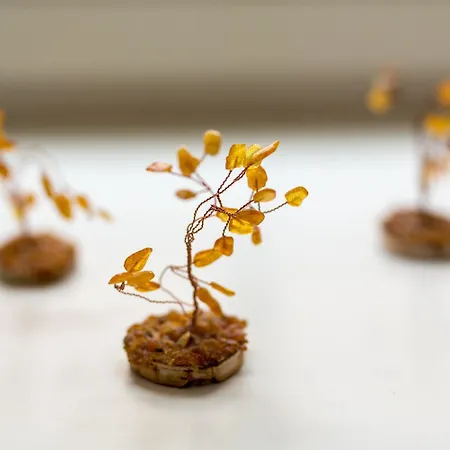 住宿加早餐酒店 伯纳蒂努早餐加住宿酒店