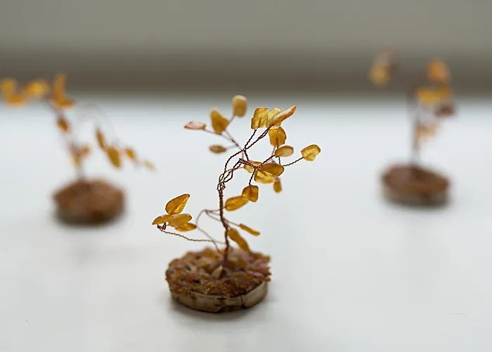 Bernardinu House Bed & Breakfast 3*